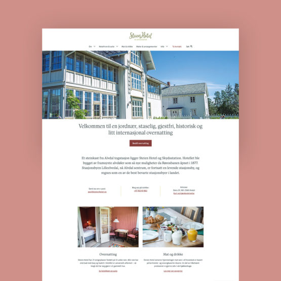 Bilde av forsiden til nettsiden til Steien Hotel vist på grafisk bakgrunn, laget av Haus byrå