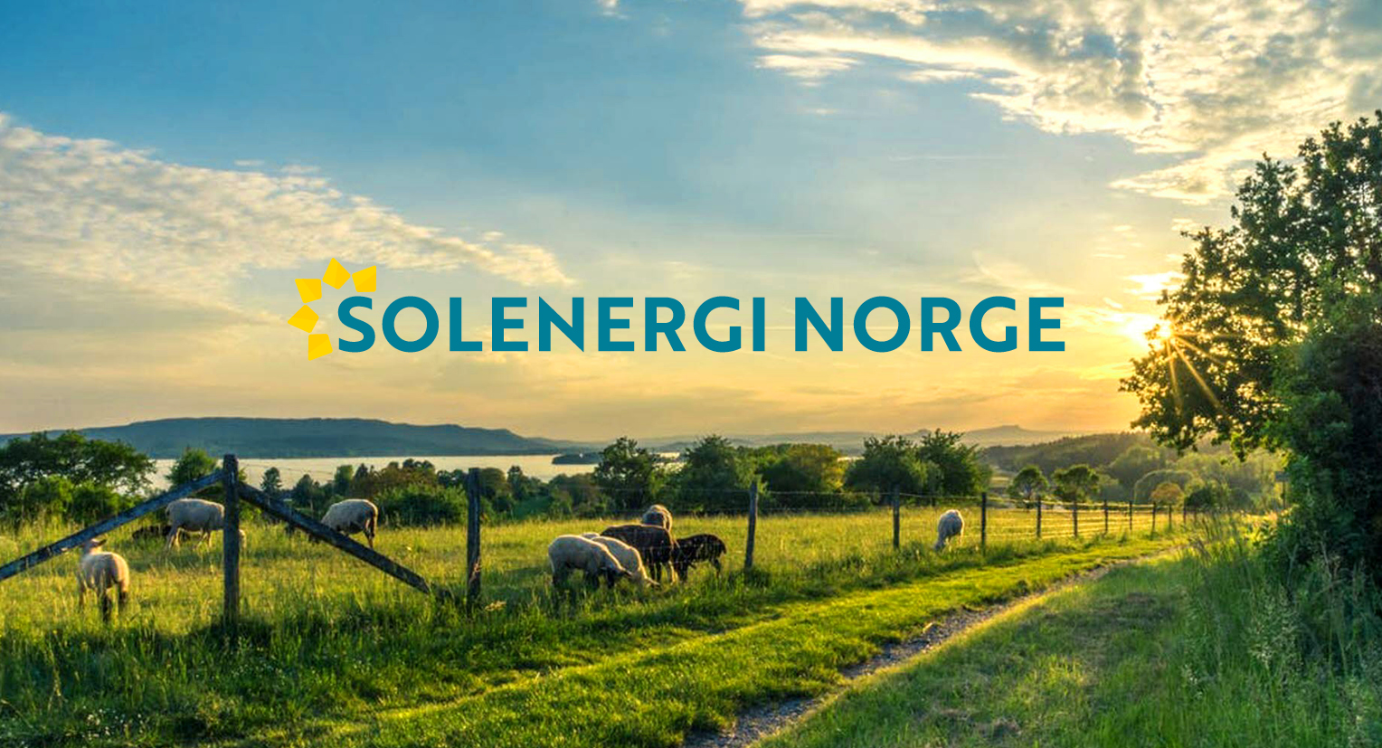 Logoen til Solenergi Norge på fotografi, profil laget av Haus byrå